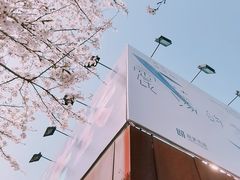 -龙美术馆(西岸馆)