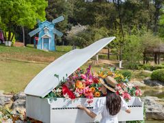 -铁山坪森林公园