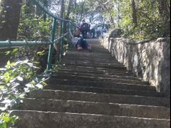 -宁波五龙潭景区