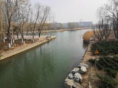 -大兴滨河森林公园