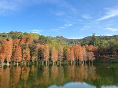 -广州市白云山风景名胜区