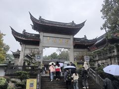 -鸡鸣赐茶(鸡鸣寺路店)