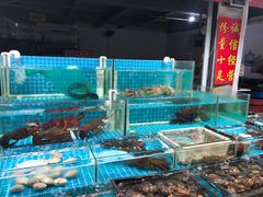 -无锡天鹏食品城