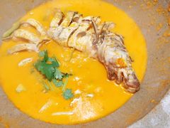 -云渔堂蒸汽石锅鱼(万达店)