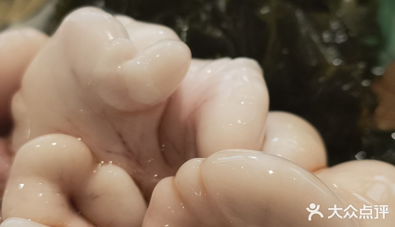 天花板可不是说说就能到的…