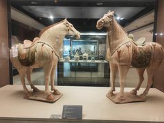 -西安大唐西市博物馆