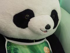 -眉州东坡·熊猫主题餐厅(枫蓝店)