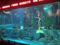 -无锡海洋馆
