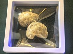 -房山世界地质公园博物馆