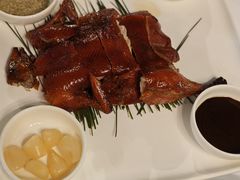 -泓0871臻选云南菜·味庄