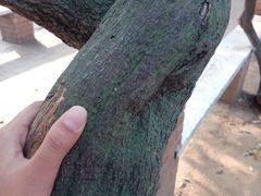 android_upload_pic-八大关景区