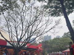 -广州长隆国际大马戏