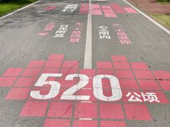 -泗洪洪泽湖湿地景区