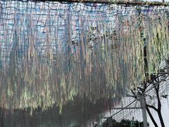 -东湖景区