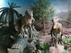 -国家自然博物馆