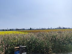 -中国天府农业博览园