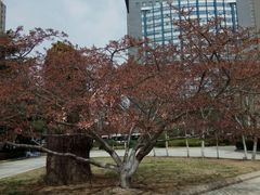 -青岛市图书馆