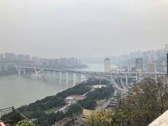 -菜园坝水果市场