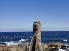 -三亚蜈支洲岛旅游区