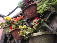 -萤火虫咖啡(砖著店)