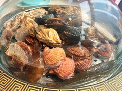 -巧克力渔家.小船海鲜胶东菜(万平口店)