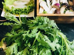 -南门四季铜锅涮肉(左家庄店)