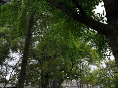 -常熟方塔园