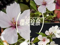 -郑和公园