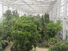 -祥源·阜阳生态乐园