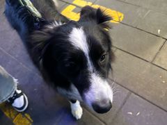 -五一星光夜市(SOHO新天地店)