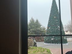-普兰达德国餐厅·德式脆皮烤猪肘·自酿啤酒(观唐店)