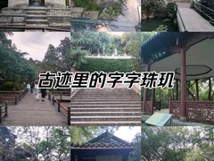 -中山公园