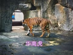-南昌动物园