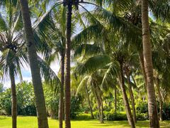 -白沙门生态公园