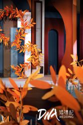 -DNA Wedding 婚礼记(上海店)
