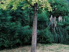 -贵阳市花溪国家城市湿地公园