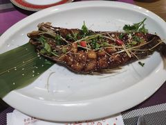 -食彩美印度特色美食餐厅·印度料理