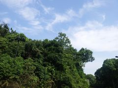 -宝界山林公园