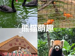 -深圳野生动物园