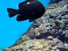 -鹿儿岛水族馆