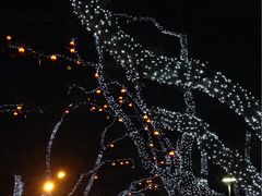 -索菲特西湖大酒店·香榭丽全日候餐厅(南山路店)