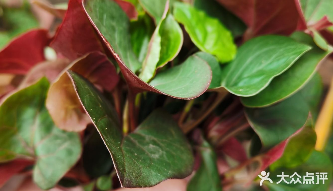 居家防疫期间，许多人厨艺见长