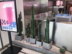 -果呀呀(吾悦广场店)