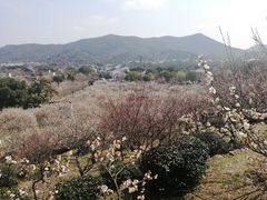 -湖鲜楼