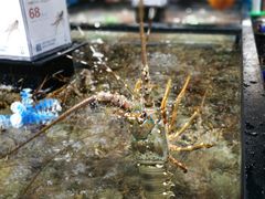 -盒马鲜生(曜一城店)