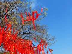 -广州莲花山旅游区
