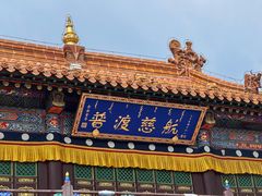 -大召无量寺
