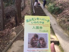 -岚山猴子公园