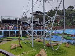 -西霞口神雕山野生动物世界