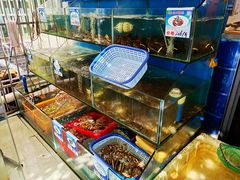 水产区-Sasa的海(蜈支洲岛后海店)